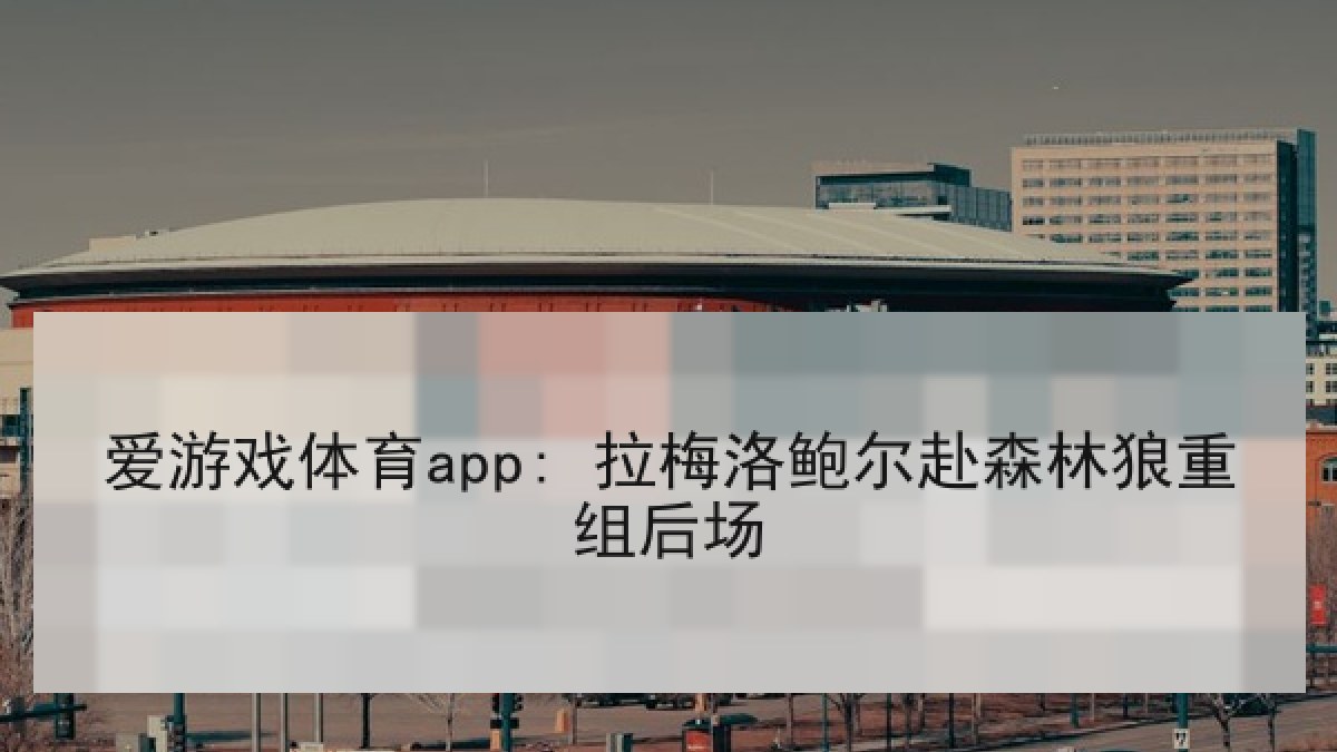 爱游戏体育app: 拉梅洛鲍尔赴森林狼重组后场
