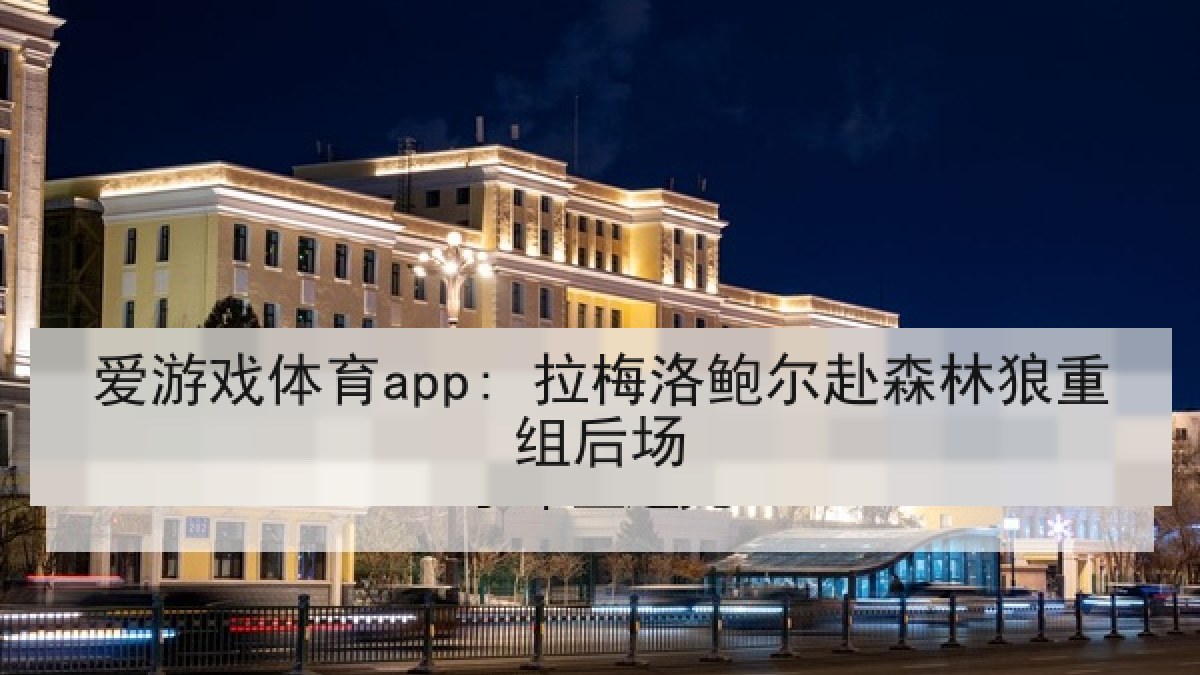 爱游戏体育app: 拉梅洛鲍尔赴森林狼重组后场
