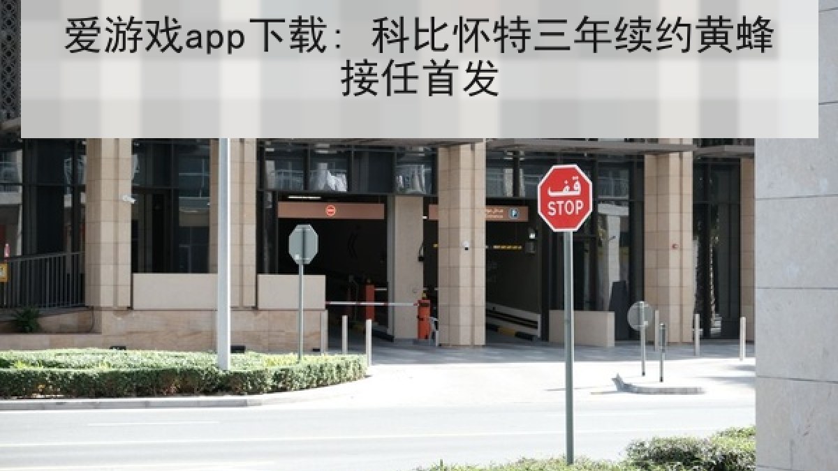 爱游戏app下载: 科比怀特三年续约黄蜂接任首发